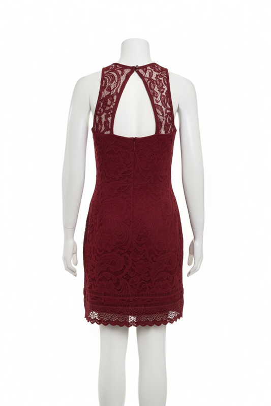 Hollister Women's Floral Dress (Size S)